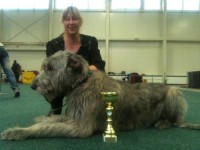 /album/fotogalerie-stenata-puppies/phoenix-1-jpg/